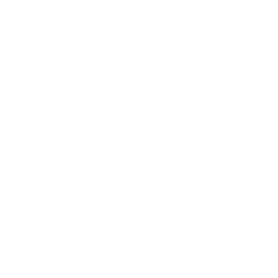 Flowers & Hair Accessories